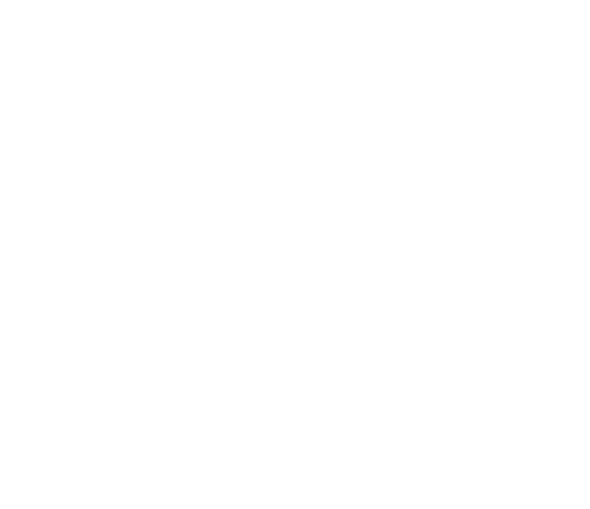 Citadel Security Services